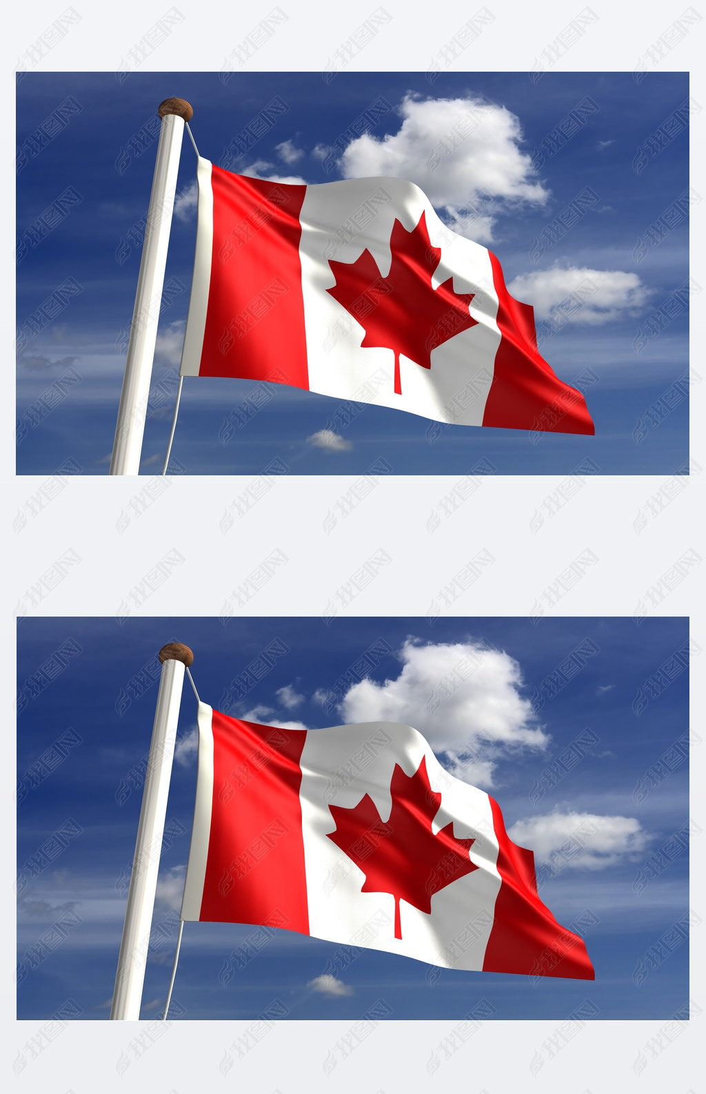 原创加拿大国旗与剪切路径版权可商用
