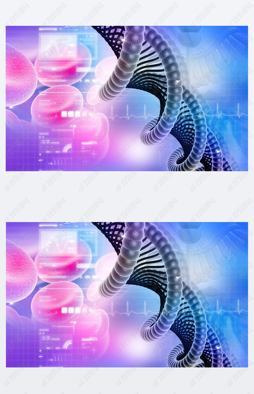 3d dna