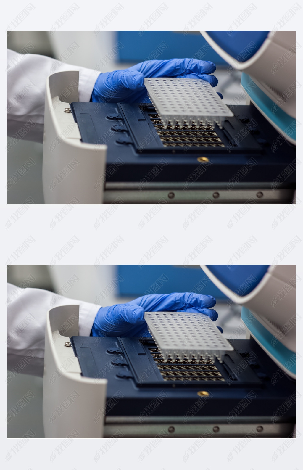 ѧһоԱʿ pcr dna  