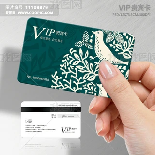 ͨ宋VIPFeOӋģd