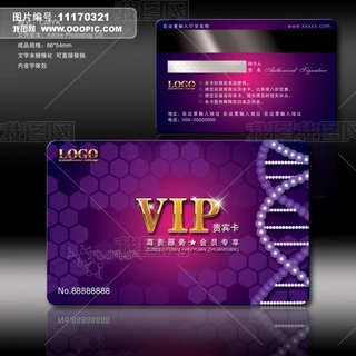 ɫƷVIPT