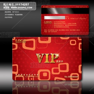 ُ̈VIPT