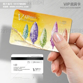 VIPFe