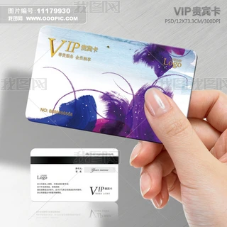 ˮʹP|VIPFeOӋģd