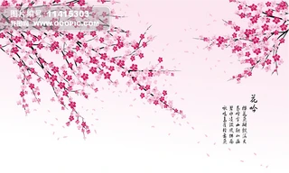 ѻꉦNڼڮ