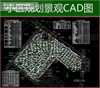 VҎD