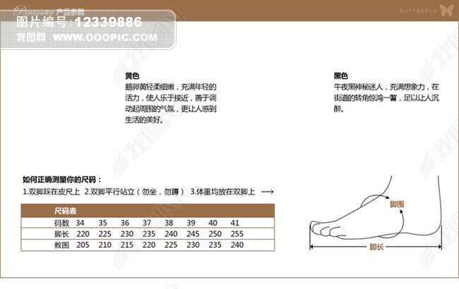 淘宝女鞋尺码对照表psd