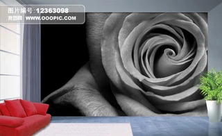ڰ،õ廨Pұڮܱ