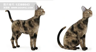 ؈3Dģ342