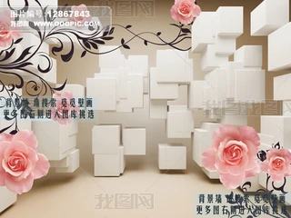 3Dõ廨yҒҒڮ
