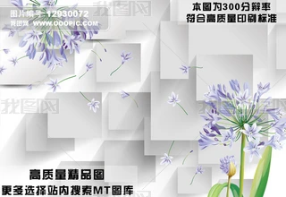 3Dڮ²˻ѹӢMTD