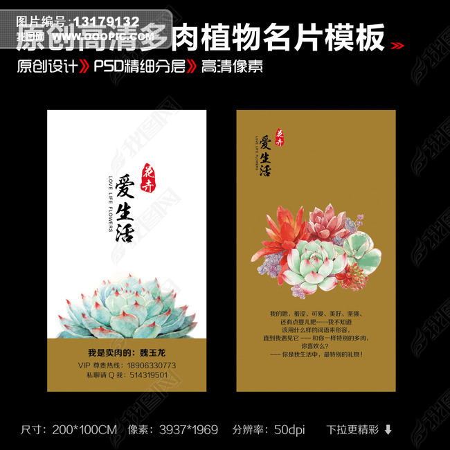 多肉植物名片
