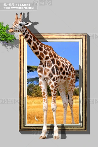 Li¹3D