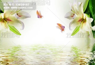 F°ٺϻˮ浹Ӱ屳