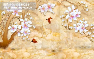 ʯʯNDmʵڮ