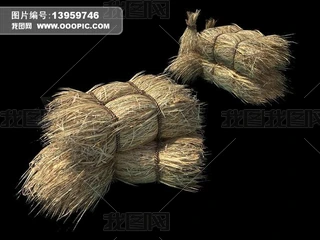 ĵݶģ