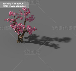 һֲģ