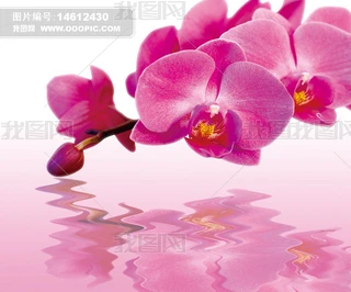 mˮлӰ仨ܱڮ