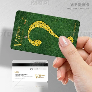 ̖?ݵӖVIPFeT