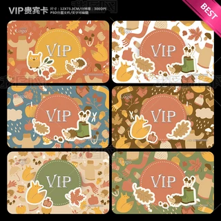 ͨͯVIPFeTOӋģ