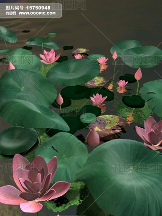 挑ĺɻɏ~ֲﻨ3Dģ