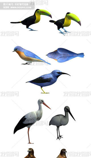 B3Dģ