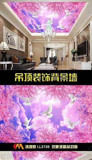 3Dѻ{픱ڮ