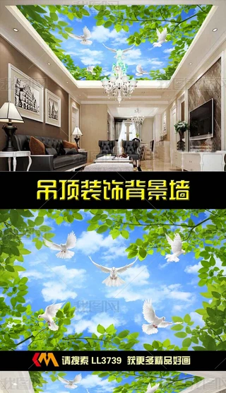 wB픮