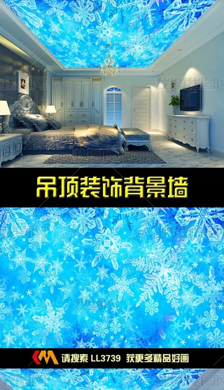 3Dˮѩ픱