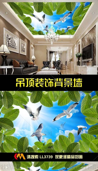 Ψ{wBֵ픱ڮ
