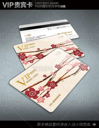 ÷VIPFeTOӋģ