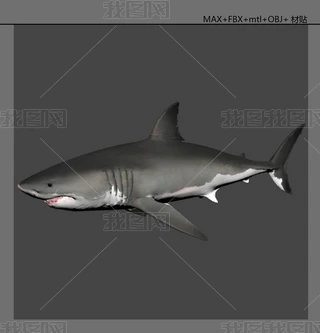 ~3Dģ