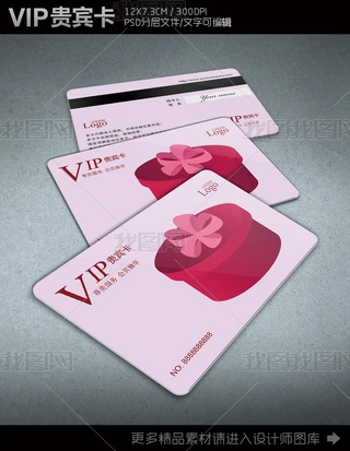 YVIPFeTOӋģ