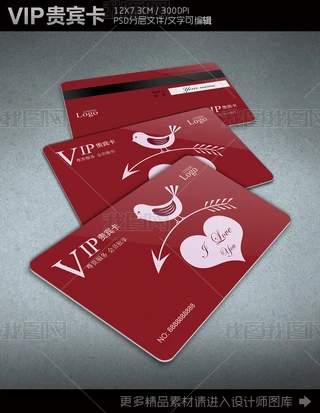˹VIPTFeOӋģ