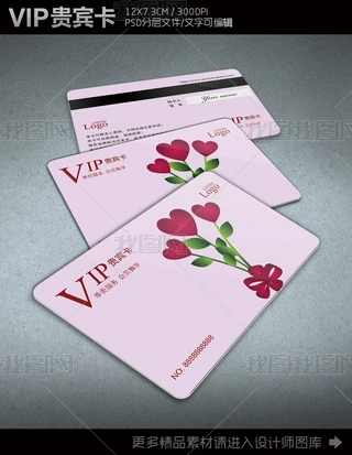 VIPTFeOӋģ