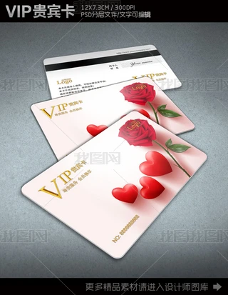 VIPFeTOӋģ