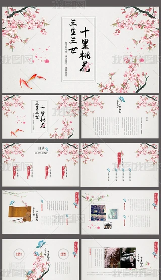 ʮһЇL(fng)Y(ji)ӋPPT