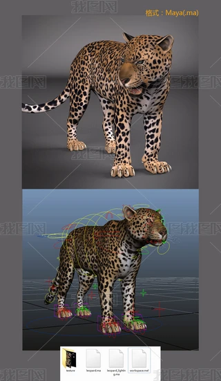 C3Dģ
