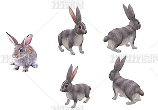 3dmaxӎӮ2
