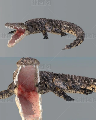 3D{~ģ