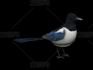 3DϲoBйģ
