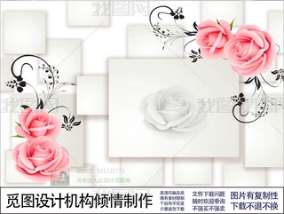 CD-053