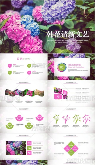 Ψ-PPT