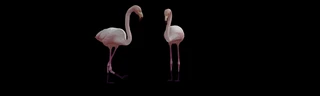 3Dģ͸ģޅֻBӮģ