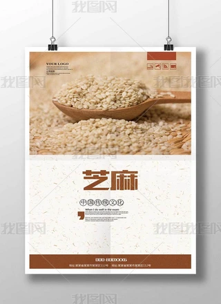 ֥麣ģ