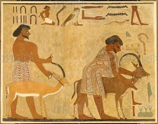 Ŵڮb