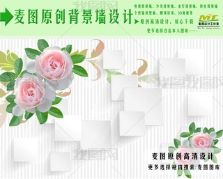 õ廨G~~DD