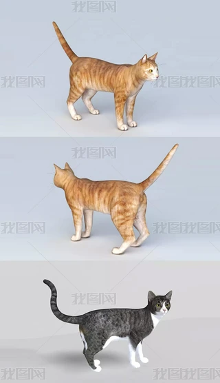 3D؈ģ