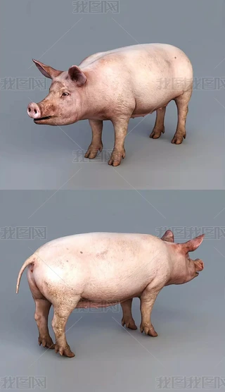 3Diģ