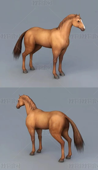 3DRģ